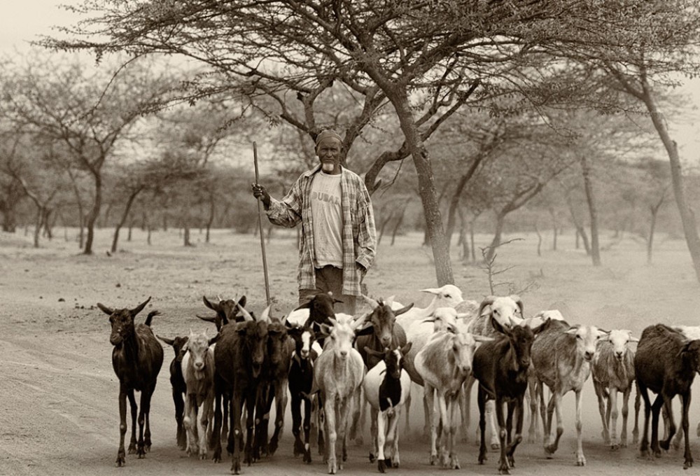 Toukoul 12 27ca52095f